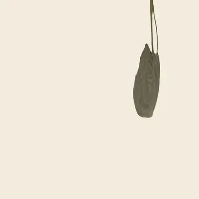 impossible leaf (fragment) (study)