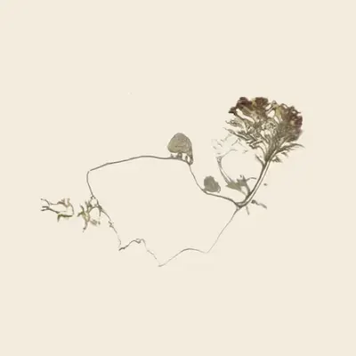 a garden for circular ruins (study)