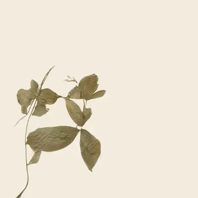unknown samples (mid-altitude) (study)