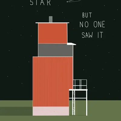 Shooting Star (But No One Saw It)