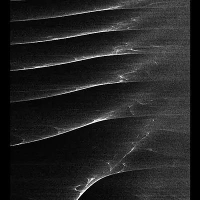 Waves