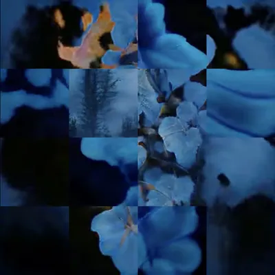 February