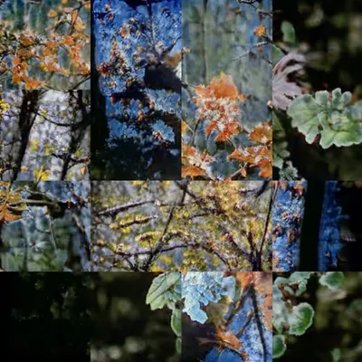 September
