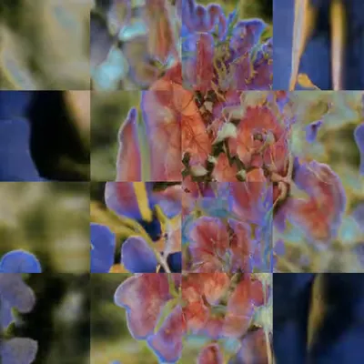 August