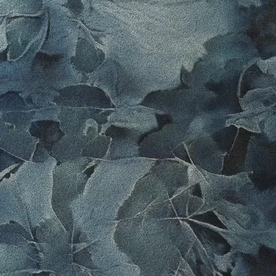 Apparatus Vitis #57