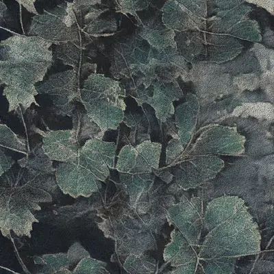 Apparatus Vitis #55