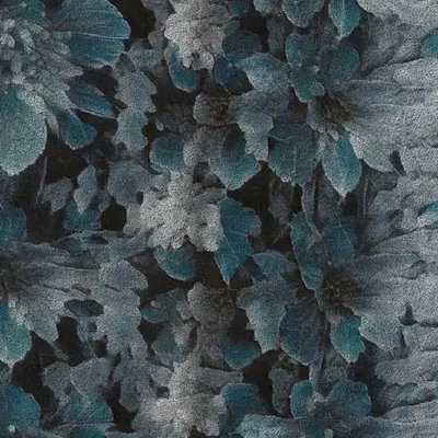 Apparatus Vitis #53