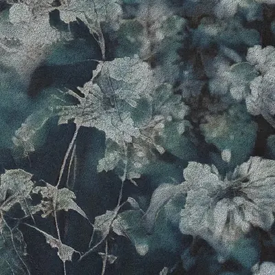 Apparatus Vitis #48