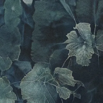 Apparatus Vitis #33