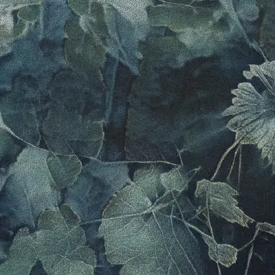 Apparatus Vitis #30