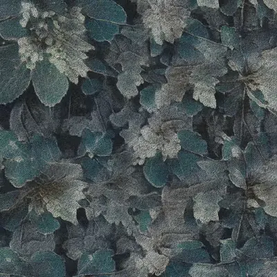 Apparatus Vitis #21