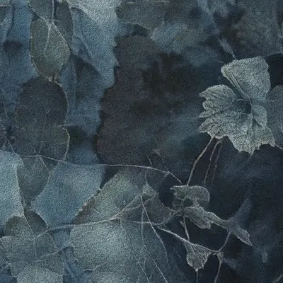 Apparatus Vitis #17