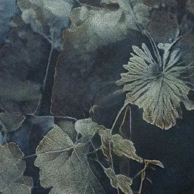 Apparatus Vitis #3
