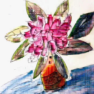 Botanical Computations