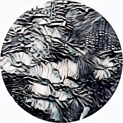 Anemones of the Latent Sea