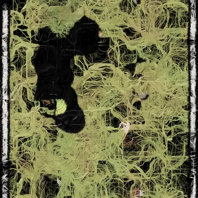 #5