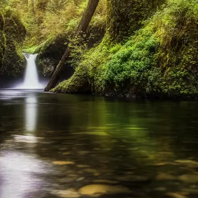 Liquidity III:  Quiescent