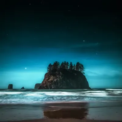 Moonlit Solace