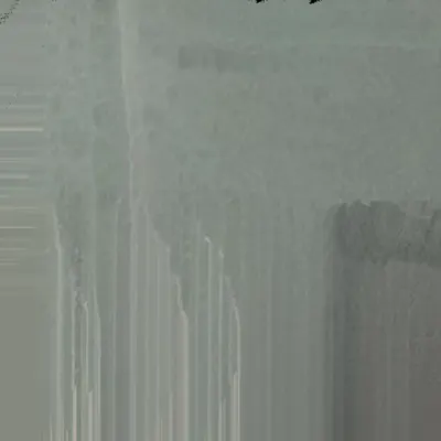 Flux #7