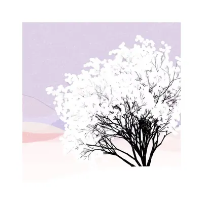 #6