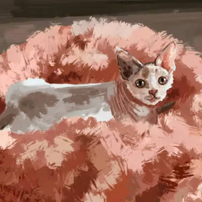 Comfy Princess