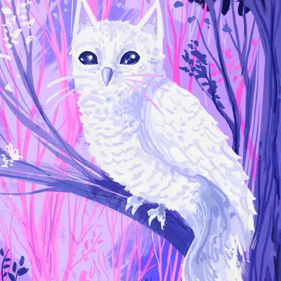 Owlcat