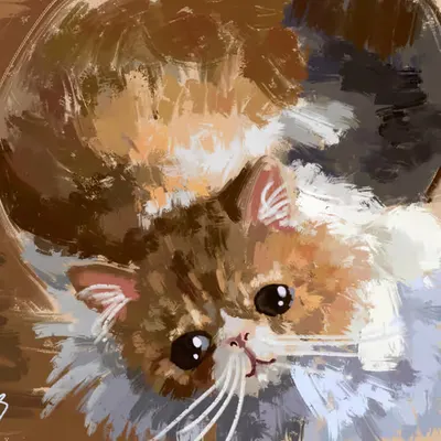Gizmo