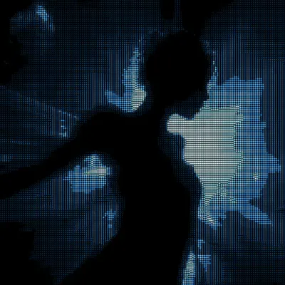 003
