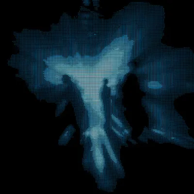 009
