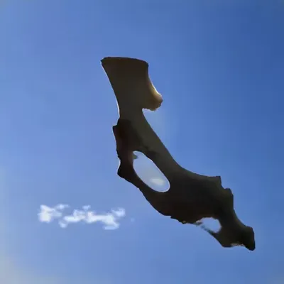 Bones In The Sky Marfa No. 112