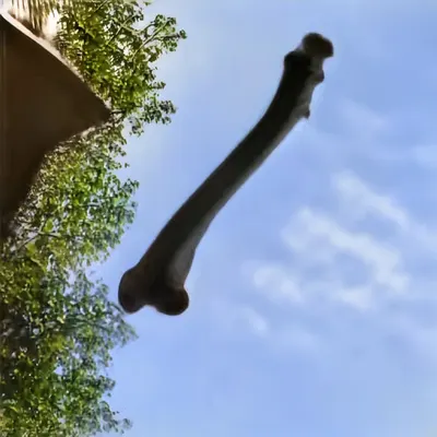 Bones In The Sky Marfa No. 31