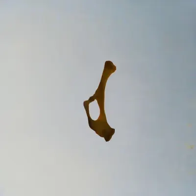 Bones In The Sky Marfa No. 11