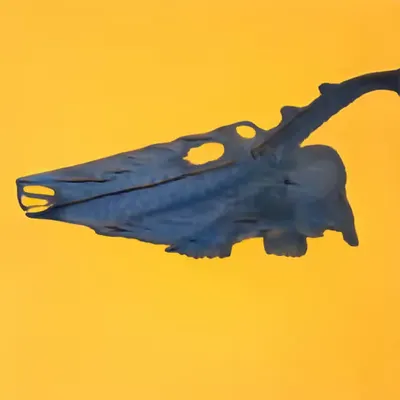Bones In The Sky Marfa No. 103