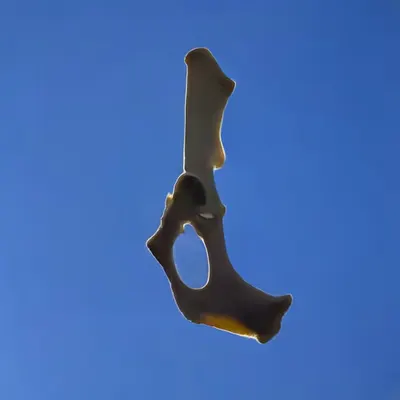 Bones In The Sky Marfa No. 59