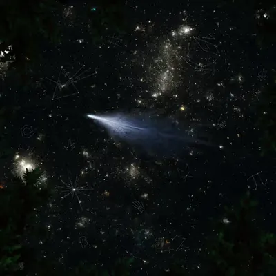 Nullius In Verba