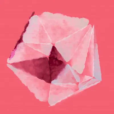 #12 Pentagon Pinkness Fragmentado