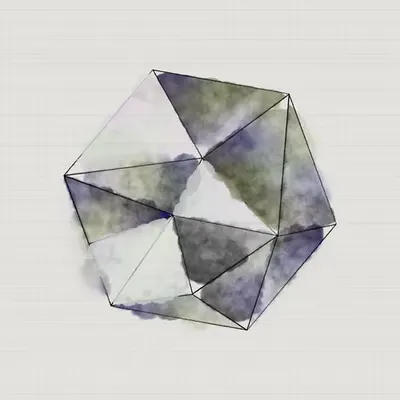 #13 Hexagon +- Monochrome Fragmentado
