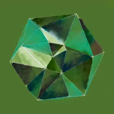 #3 Hexagon Greeness Fragmentado
