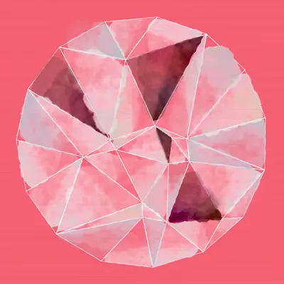 #40 Circle Pinkness Fragmentado