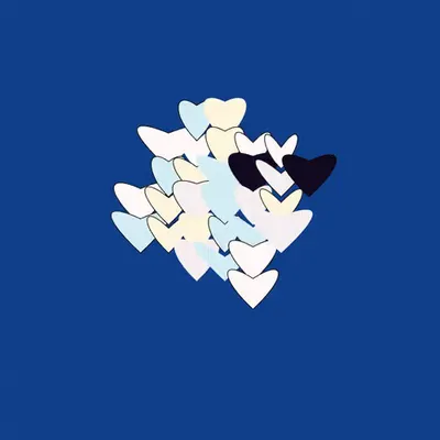 #11