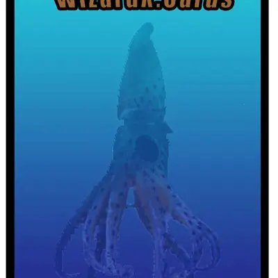 WizardX; Series 1, Card 5
