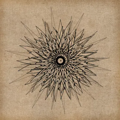 Concentric Drawing