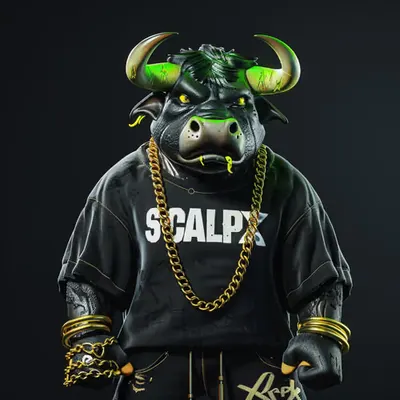 BULLRUN SUMMER: SALPX