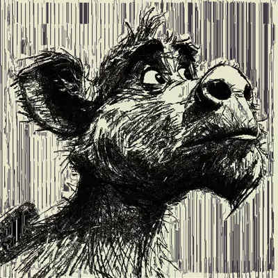 Coding Art: DONKEY by @terakiart