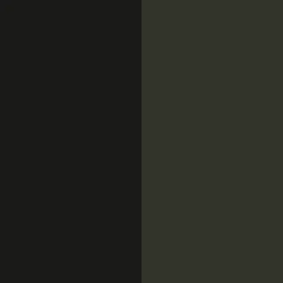 5S