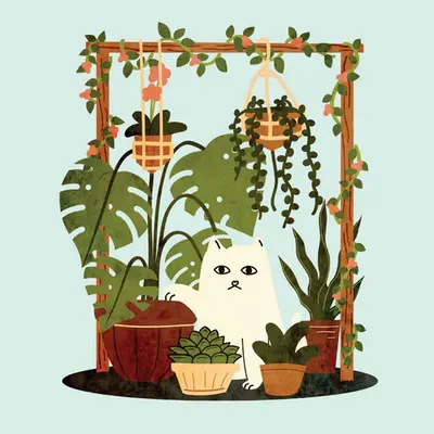The King of the Jungle