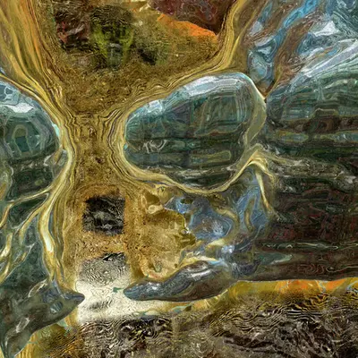 THE WORLD A HALL OF MIRRORS