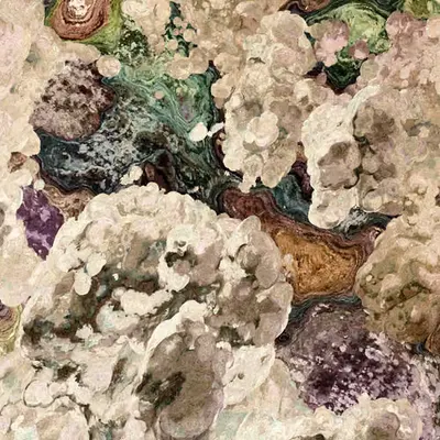GLIMPSES