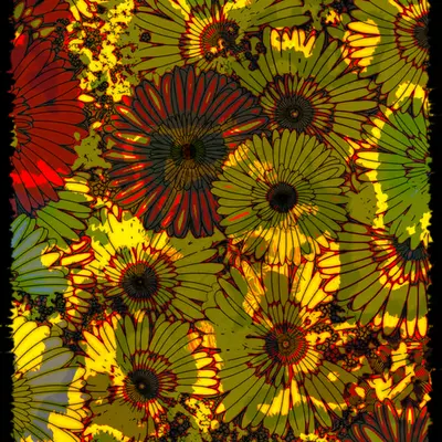Flowers of Alfiren #51