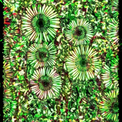 Flowers of Alfiren #66